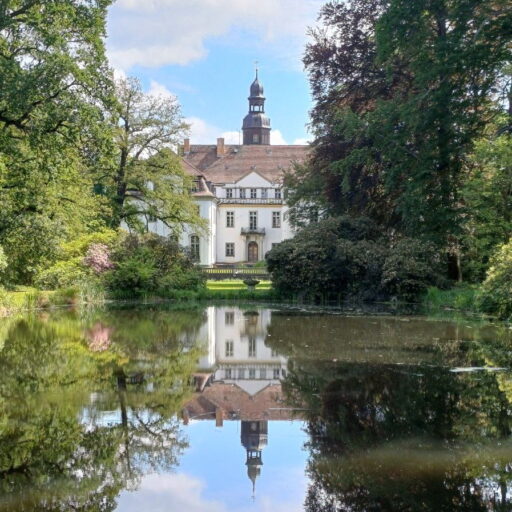 Mein Lindenau (in Bearbeitung)